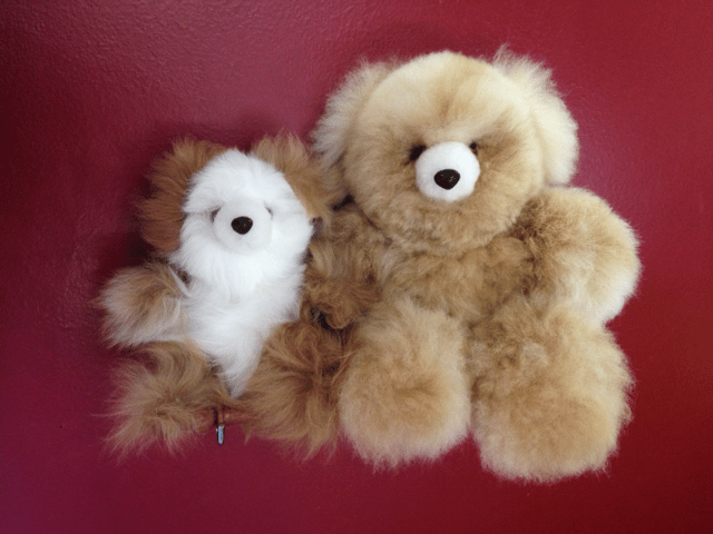 alpaca fur teddies 