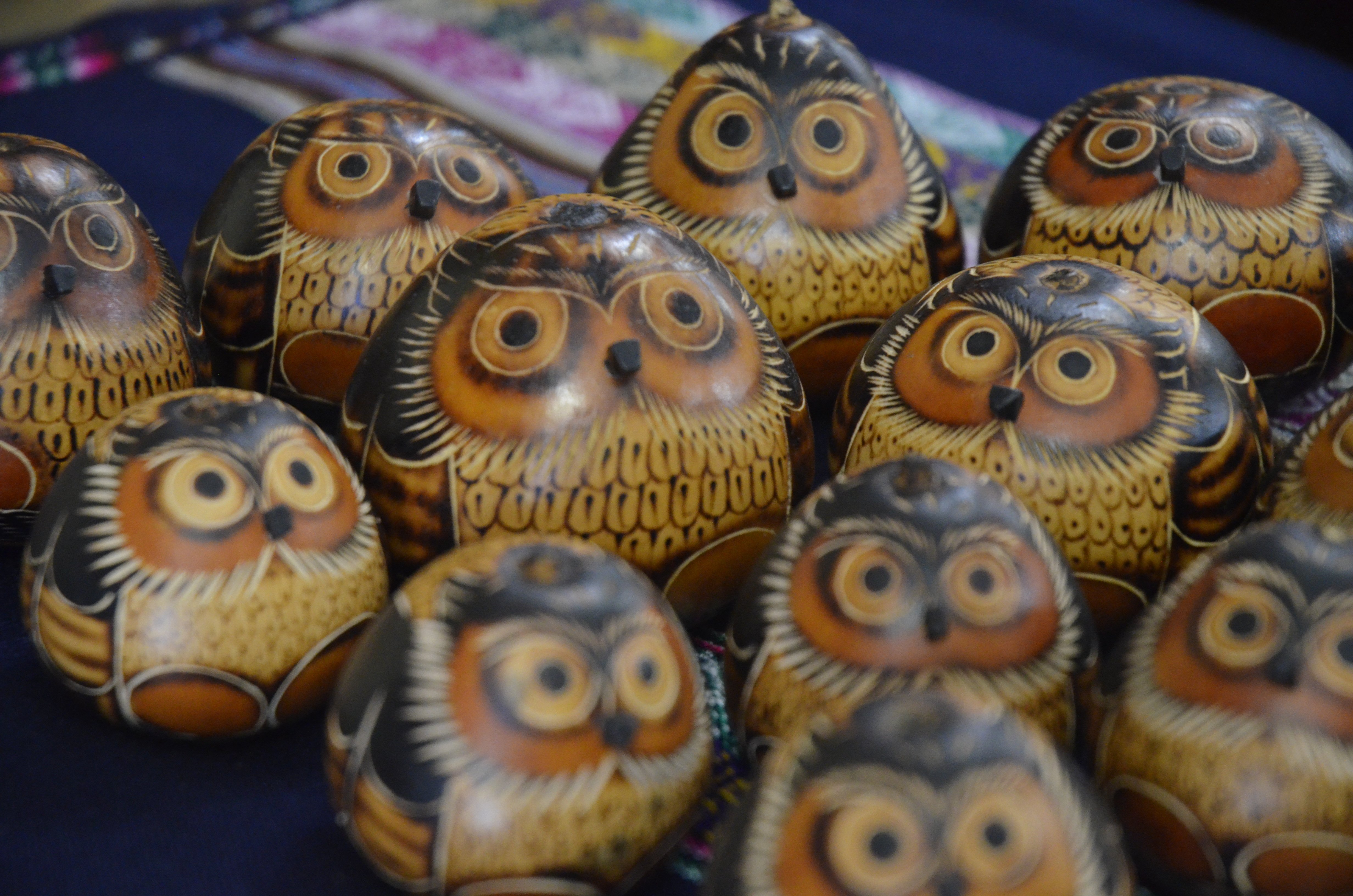 owl gords